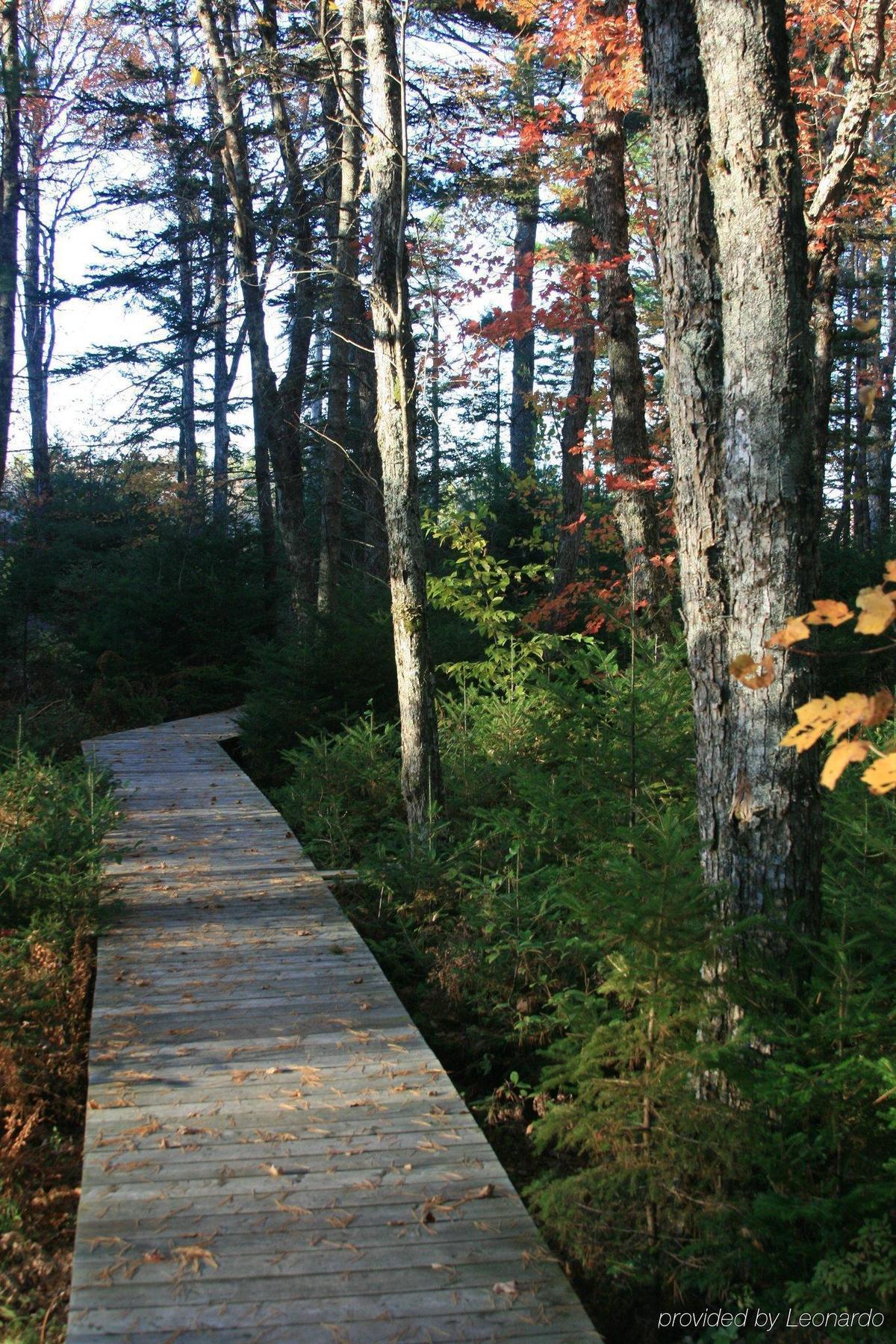 Trout Point Lodge Of Nova Scotia East Kemptville Faciliteter billede
