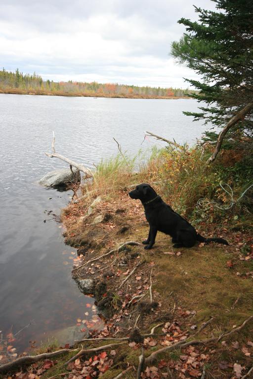 Trout Point Lodge Of Nova Scotia East Kemptville Eksteriør billede