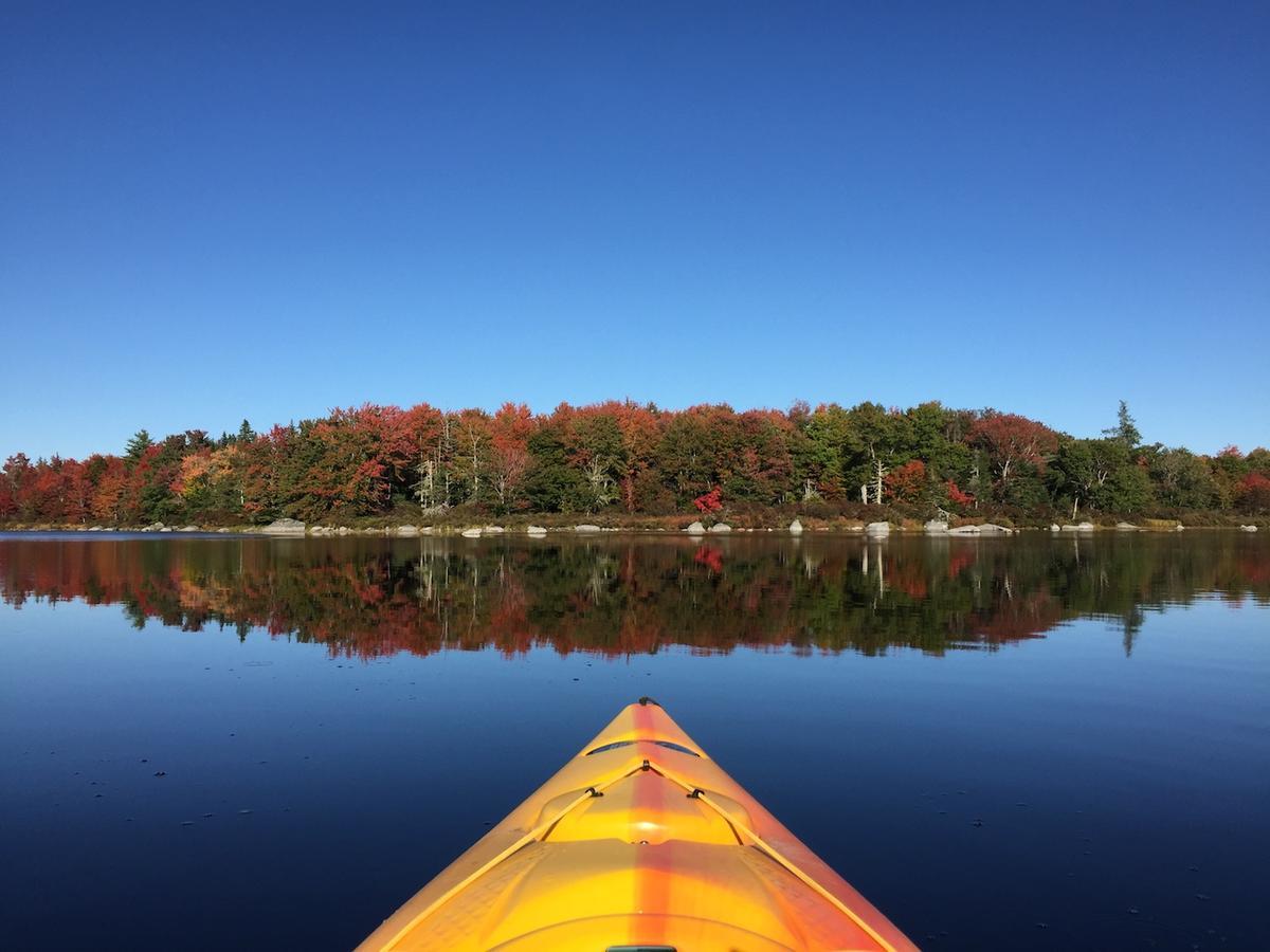 Trout Point Lodge Of Nova Scotia East Kemptville Eksteriør billede